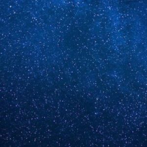 Meet your Posher, Sophia